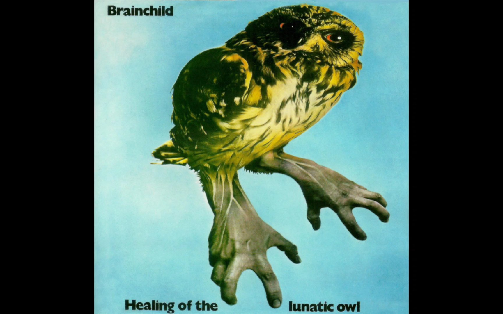 【爵士摇滚/前卫摇滚】封面越怪歌越好听｜Brainchild - Healing of the Lunatic Owl
