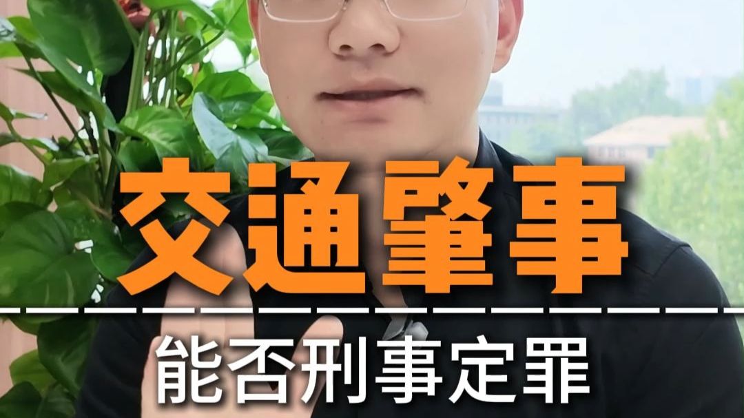 开车撞交警，这事怎么评？