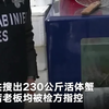 意大利多家华人店铺卖大闸蟹被查：大闸蟹被视为入侵物种