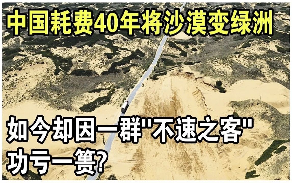 中国耗费40年将沙漠变绿洲，竟因一群“不速之客”功亏一篑？ 毛乌素沙漠的这一幕，让人痛心！