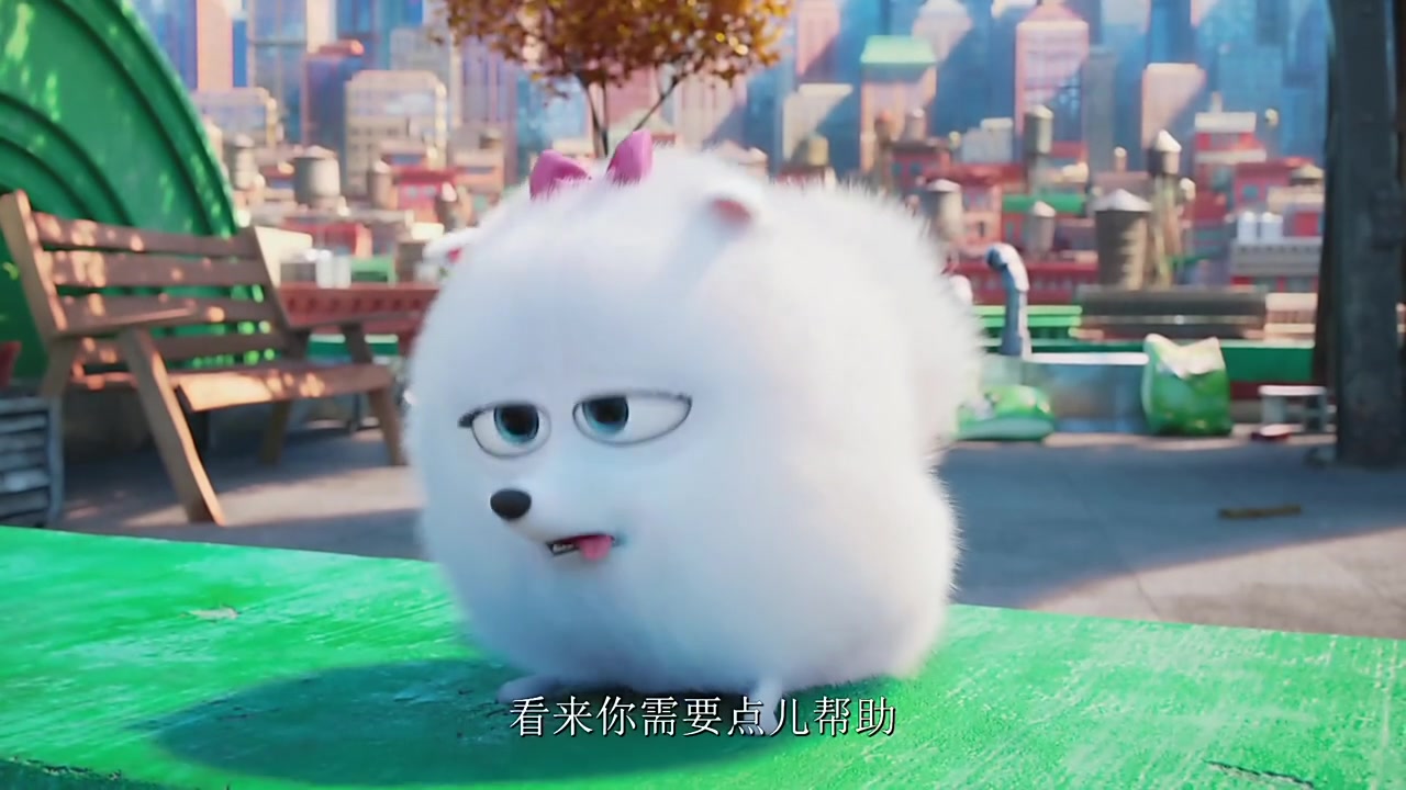 超萌的博美小母狗爱宠大机密片段4