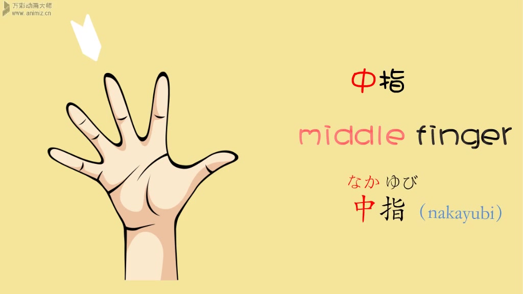 5个手指用英语和日语分别怎么说?