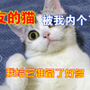 朋友的猫终于被我内个了，我给怀孕的猫准备了很多东西