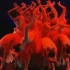 【汉族民间舞】山东秧歌《红珊瑚》北舞合集  有宋茜