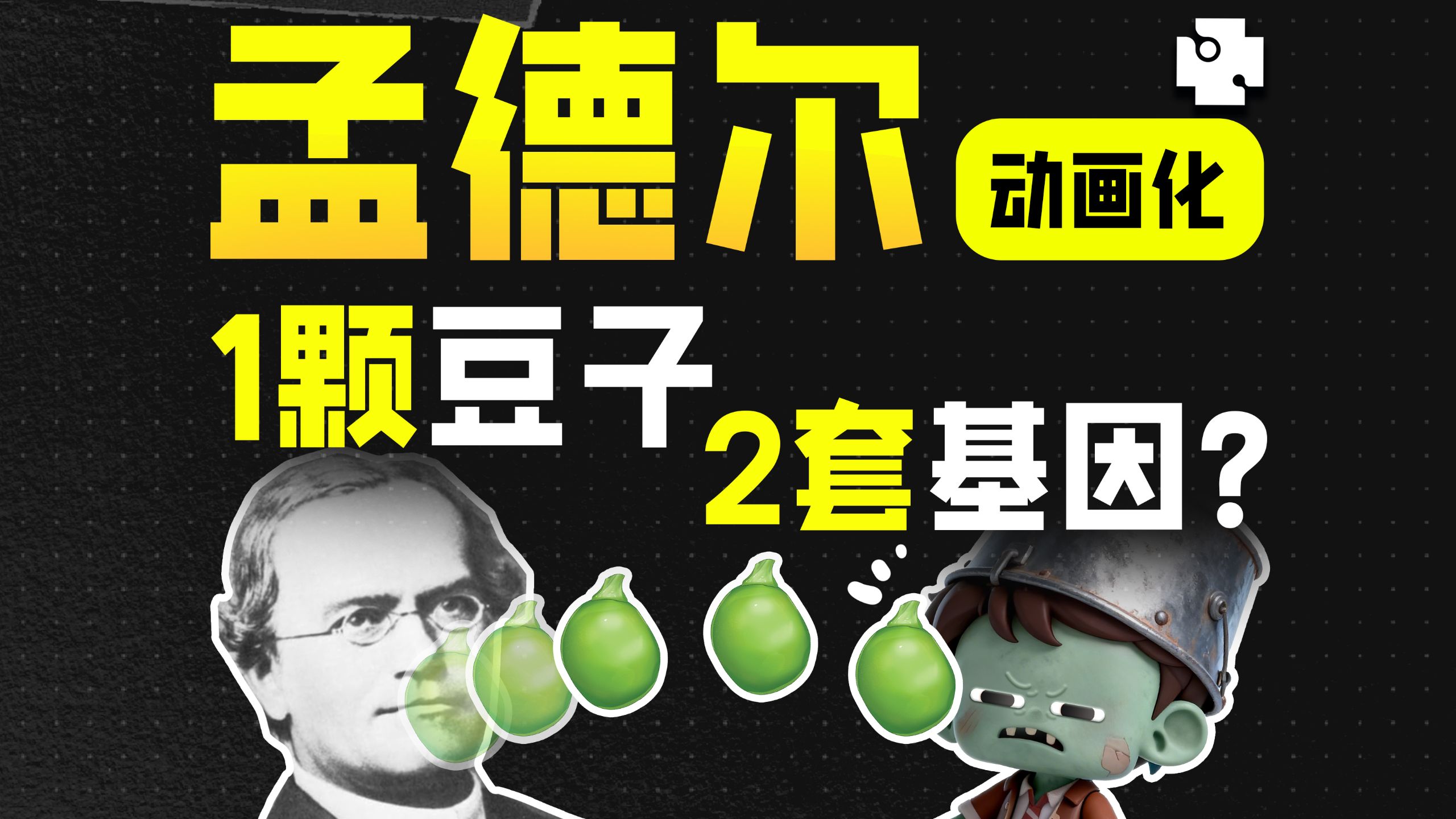 【高中生物】必修二：孟德尔豌豆 - 一颗种子，两套基因？