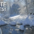 4K白色森林-平静的河流声音-雪林-放松冬季