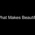 两支笔演奏《What makes you beautiful》【Penbeat】