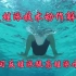 实用蛙泳技术：反蛙泳。学会反蛙泳也是蛙泳水平提高的体现。