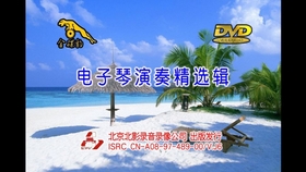 好听的电子琴合奏曲谱_电子琴好听的曲谱(4)