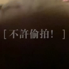 偷拍猫猫洗澡被发现