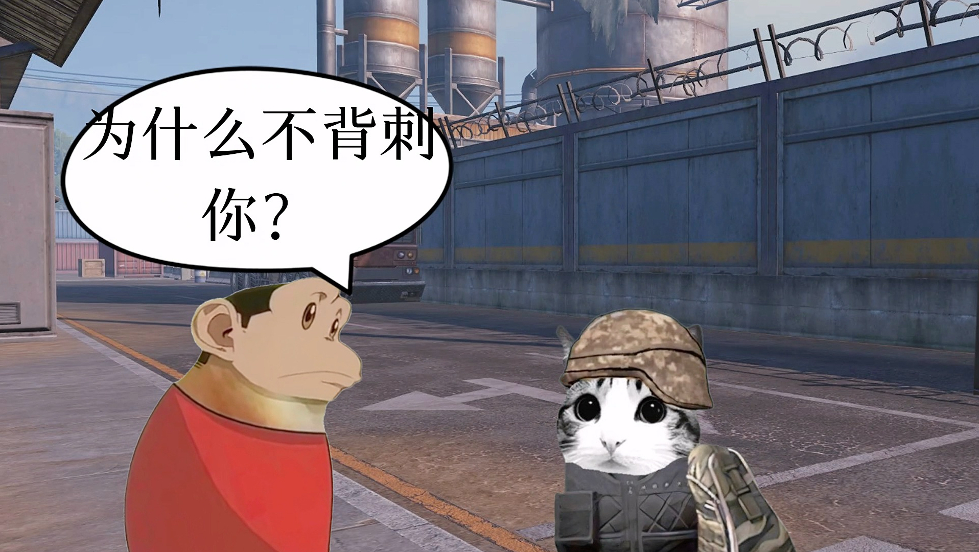 直接背刺小猫