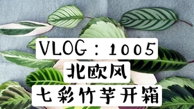 5606c8c04e39a93f586aa9d0e8fc69561a633171.jpg@280w_158h_1c_100q.jpg
