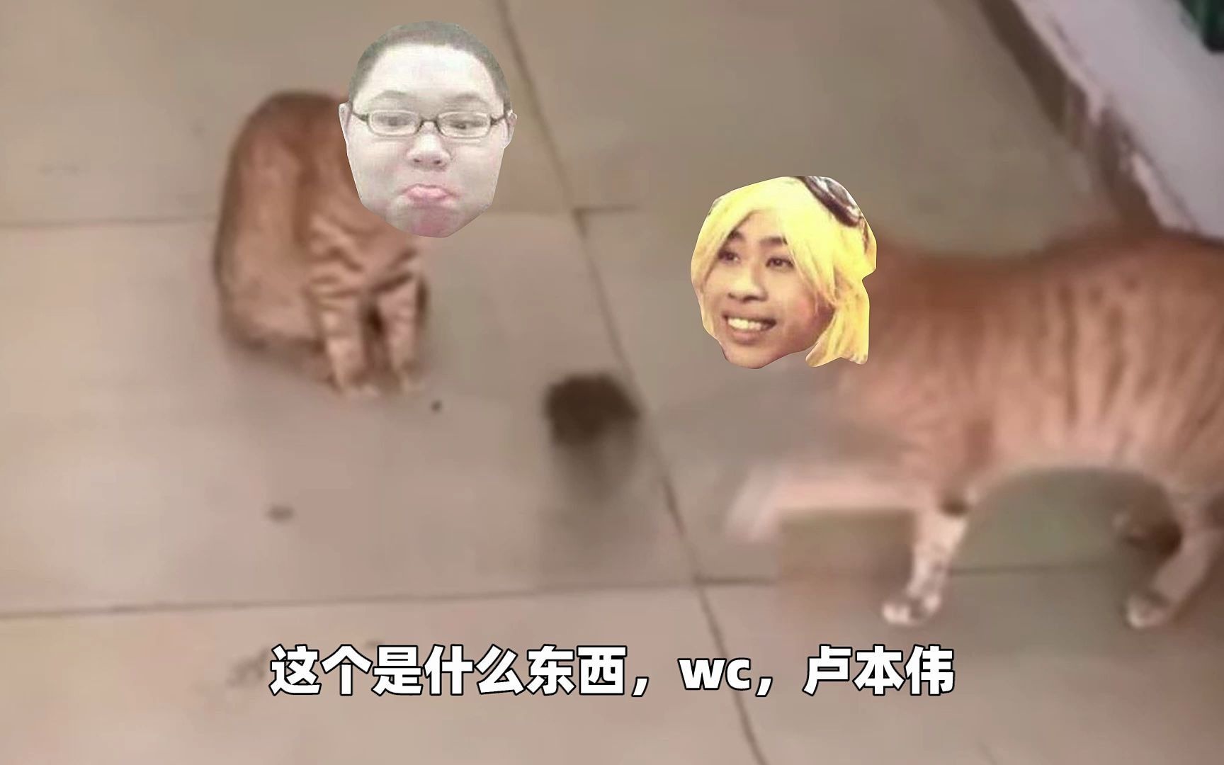 福建烤老鼠卢本伟pdd抓老鼠