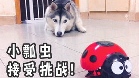 闭目养神真的可以养神吗 560bc9548b77f9a60831c349a86c51654f464fbb.jpg@280w_158h_1c_100q.jpg