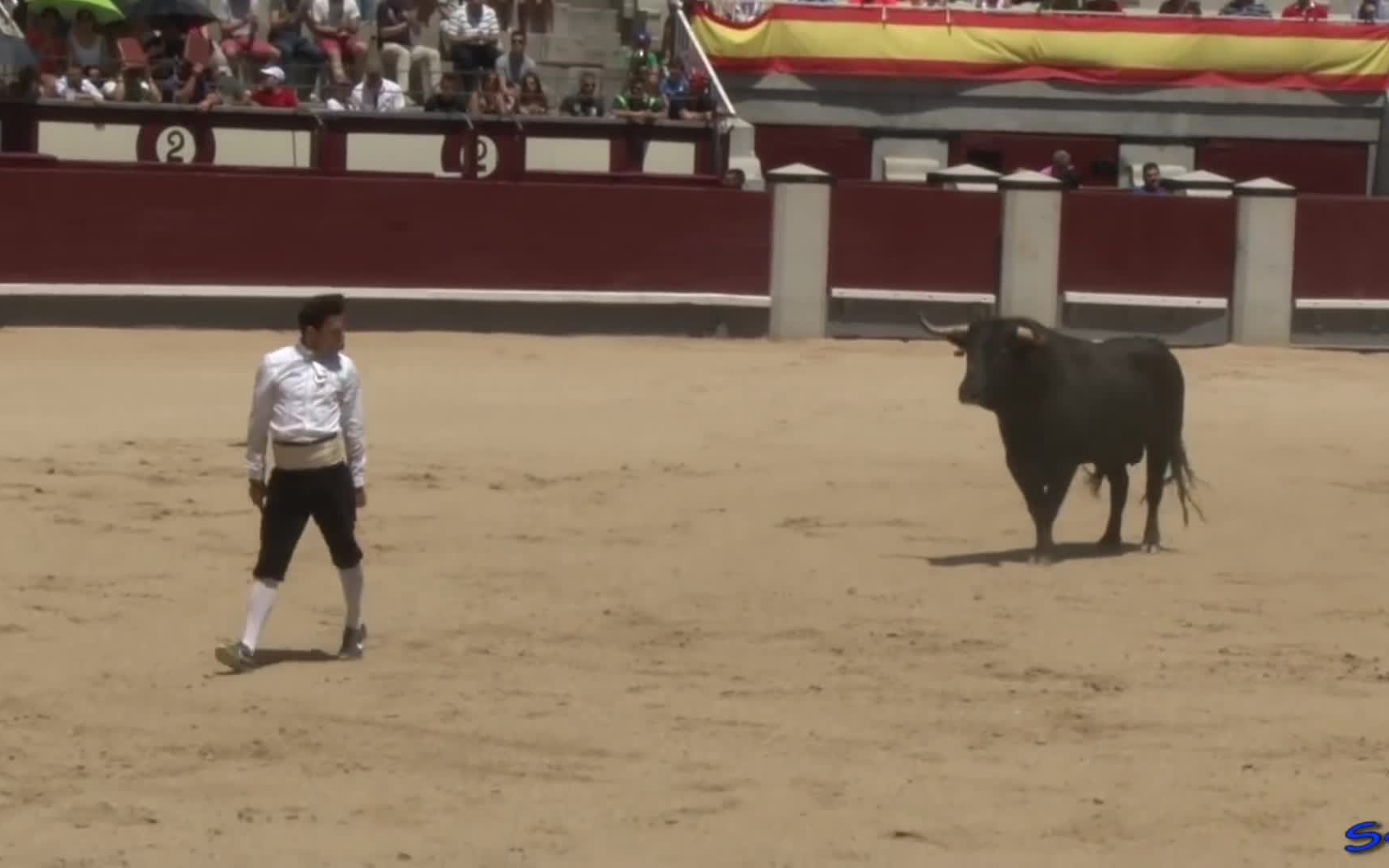 无法忘记的痛！西班牙斗牛士被牛顶的瞬间 - 第 3 页 | 探索网