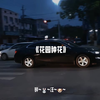 在小小的花园里面挖呀挖呀挖# 音乐