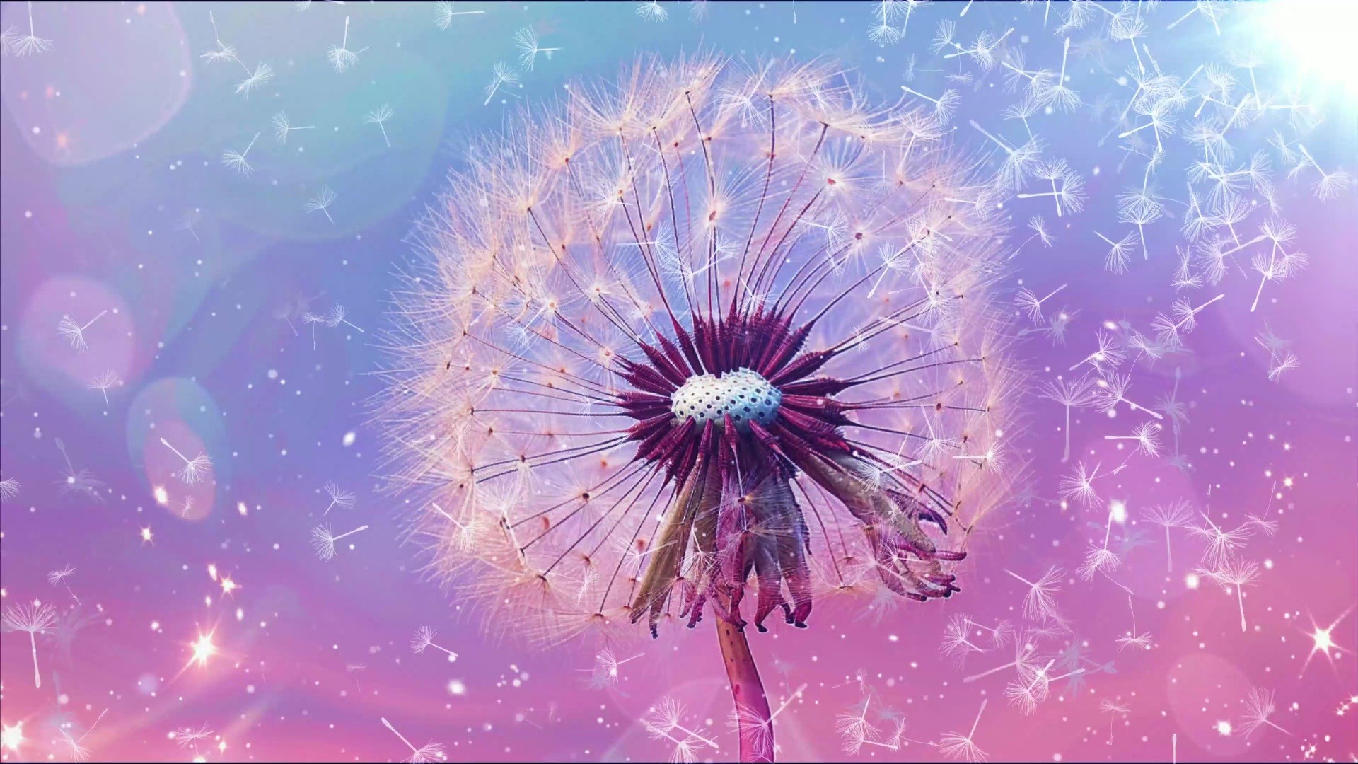 (4w150s)淘汰配乐4k背景视频