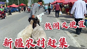 56331afefb9920f08dd909d2c64e50070be19e97.jpg@280w_158h_1c_100q.jpg