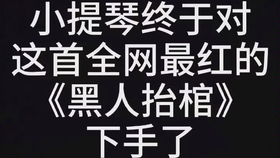 二胡抬棺曲谱_天刀黑人抬棺曲谱(2)