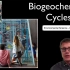 AP环境科学-2 生物地球化学循环 Biogeochemical Cycles