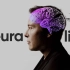 【双语】Neuralink脑机接口会带来什么变革？听听斯坦福大学神经学专家的看法
