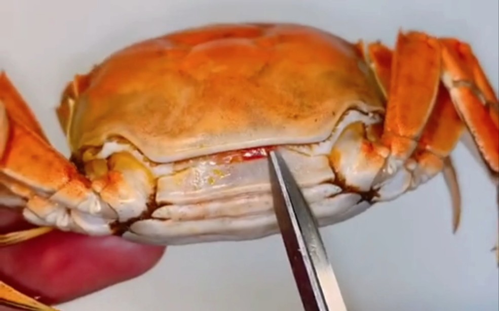 阳澄湖大闸蟹的正确吃法，一只蟹可以吃出2只蟹的肉