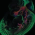 【科研进阶】毛细管区带电泳-质谱技术应用于自下而上蛋白质组学研究