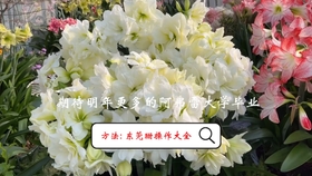56687c1b6705cccf0c4b2d8c1b823b60c17dd4d9.jpg@280w_158h_1c_100q.jpg