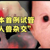 日本首例“人兽杂交”实验，结果究竟如何？网友:后代啥样子