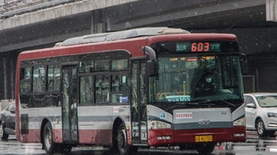 567c07fd4dafd32c827afa6de4e0072a6b7de2d2.jpg@310w_174h_1c_100q.jpg
