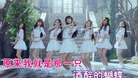 花蝴蝶女声版 5680544a1407defc52de175f7e8f3a4abd3fadab.jpg@280w_158h_1c_100q.jpg