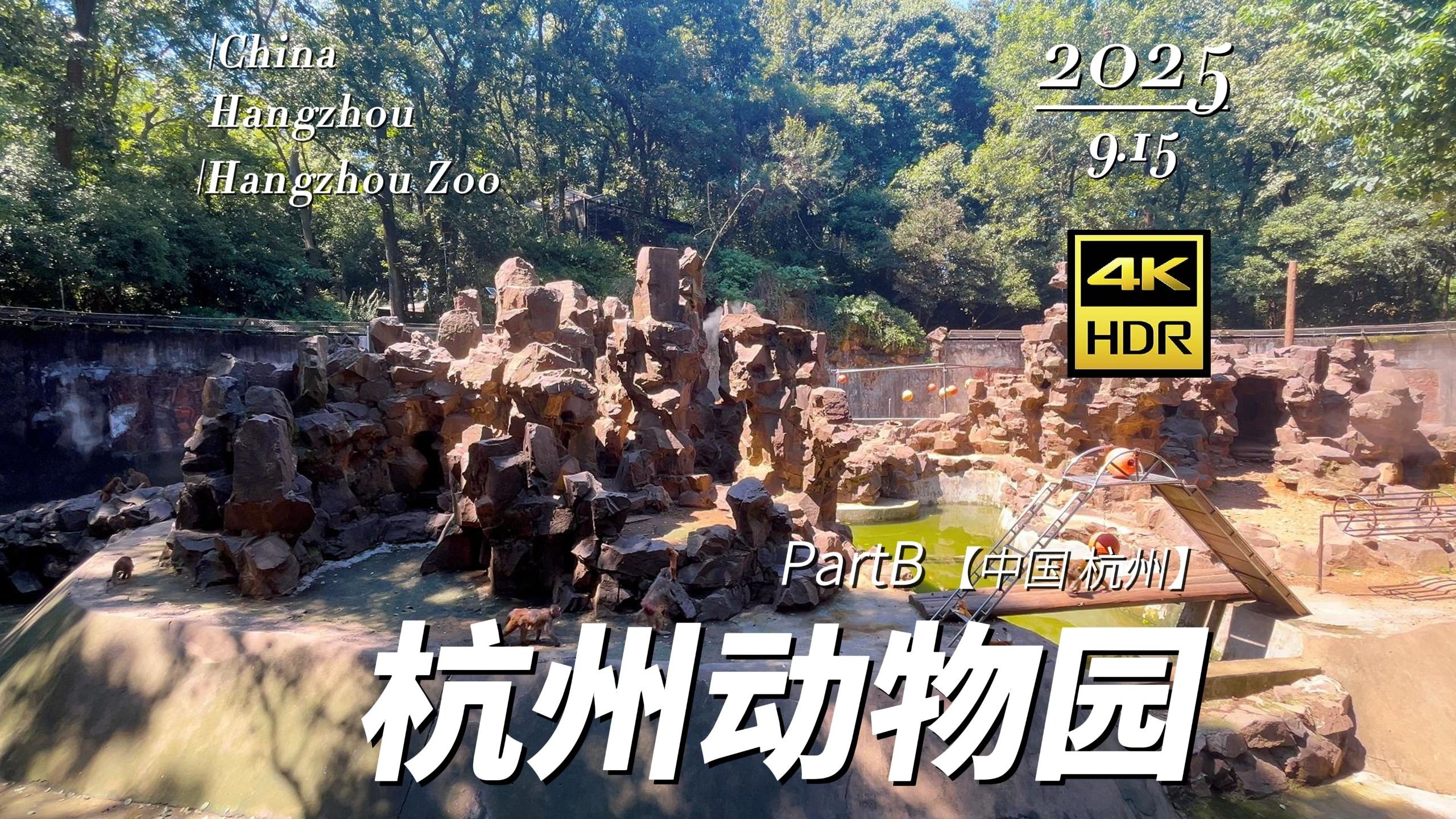 【4K超清】漫步杭州 杭州动物园-下 2025.9.15 | 漫游中国 | 杭州 | 云旅行 沉浸式 漫步 POV 旅行 白噪音 Citywalk