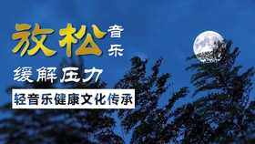 小提琴曲谱月半小夜曲_月半小夜曲小提琴谱(4)