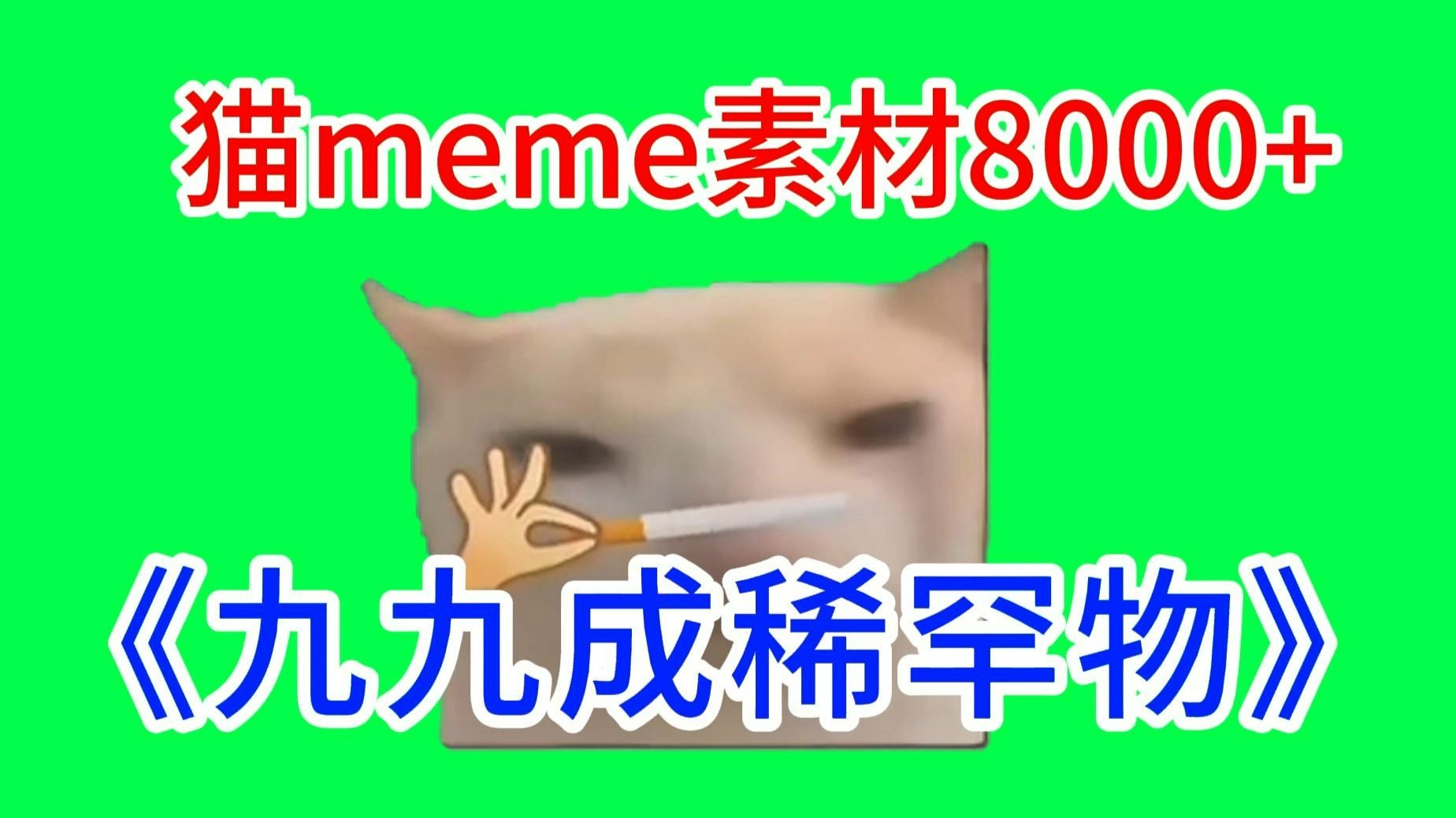 【九九成稀罕物！】猫meme绿幕素材完整分享～，猫meme素材整合分享，合集分享！