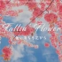 【SEVENTEEN】飘落的花瓣八音盒版 fallin' flower