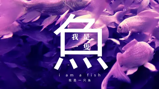 我是一只鱼 |中文歌词附（Cover：River Moon）| 落日飞车| Shot on Iphone XR