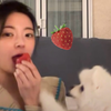 🍓点击收看草莓公主Lia训狗！世界上最萌的视频诞生啦