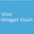 【红心】Angel Fish