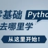 看完本文若未能让你了解“Python”，我将永远退出IT界！