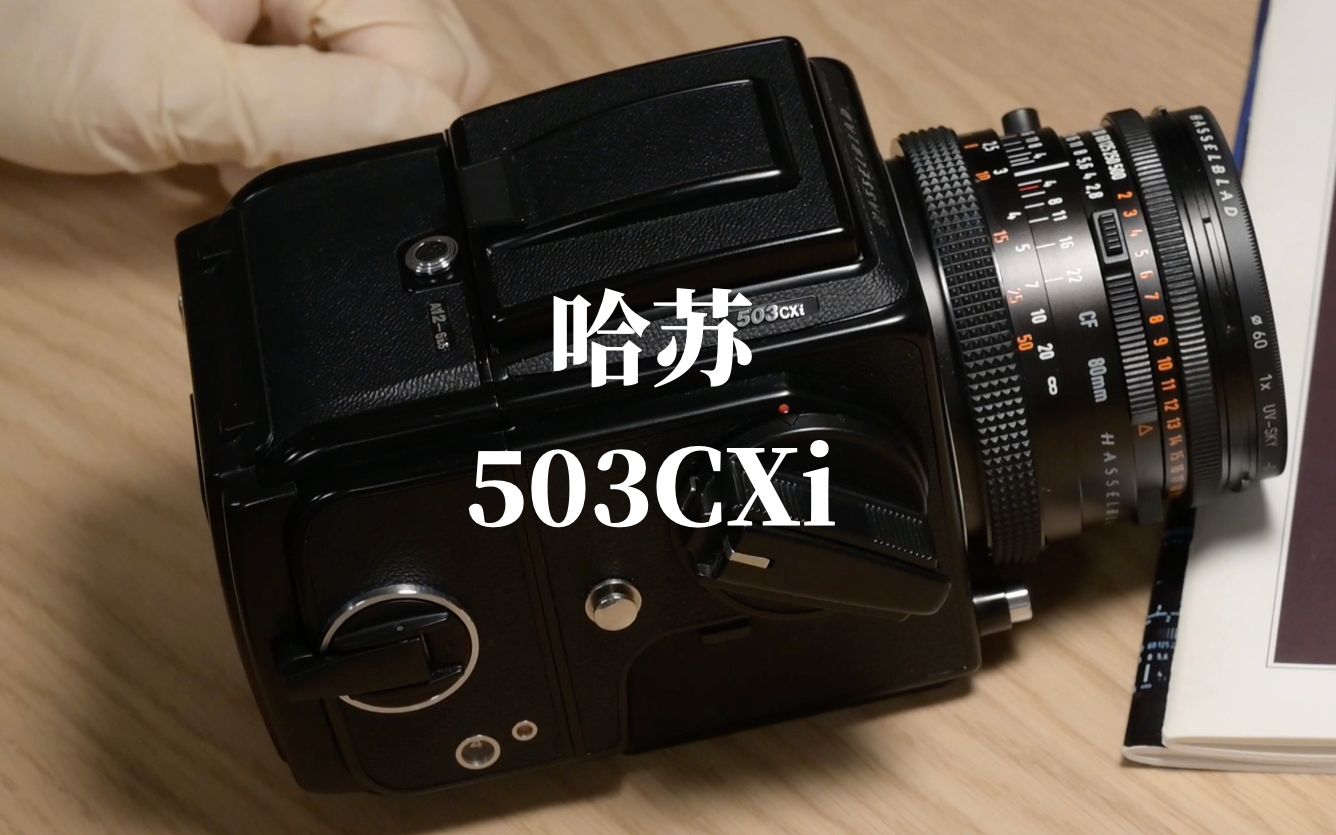 胶片哈苏503cxi以及26年未见天日的胶卷hasselblad503cxicxcw