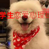 【大学心理健康作业】大学生恋爱心理研究