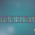 3分钟看明白DNA是如何复制的