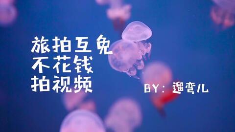 什么是摄影互免 570982c3a6844dfcc2cebfc74ec91eed816d2e40.jpg@480w_270h_1c