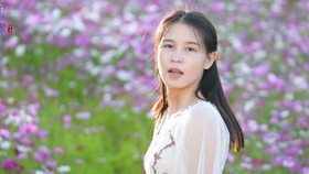 鹧鸪飞笛子曲谱_鹧鸪飞笛子简谱
