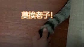 5715b730bc0c0195e0eb9b9bfdf5cbffc5e75012.jpg@280w_158h_1c_100q.jpg