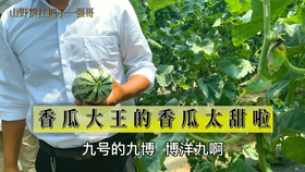 571e917d8ae66a06a587c009876eecf558a6e4ba.jpg@280w_158h_1c_100q.jpg