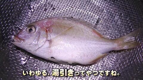 57265a223179cee7fa536e83c84037bcb1926353.jpg@480w_270h_1c