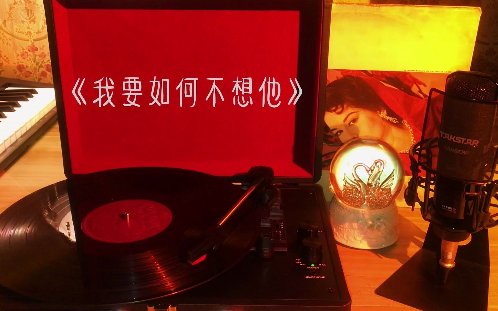 黑胶唱片 | 蔡琴经典名曲《我要如何不想他》 | 黑胶 | 黑胶试听 | 无损音乐 | 高品质音乐