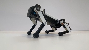 舵狗陀螺仪自稳测试 灯哥开源四足机器狗