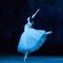 [吉赛尔][Giselle]超高画质，Bolshoi 2011年呈现，Lunkina主演，当代最重要的版本之一